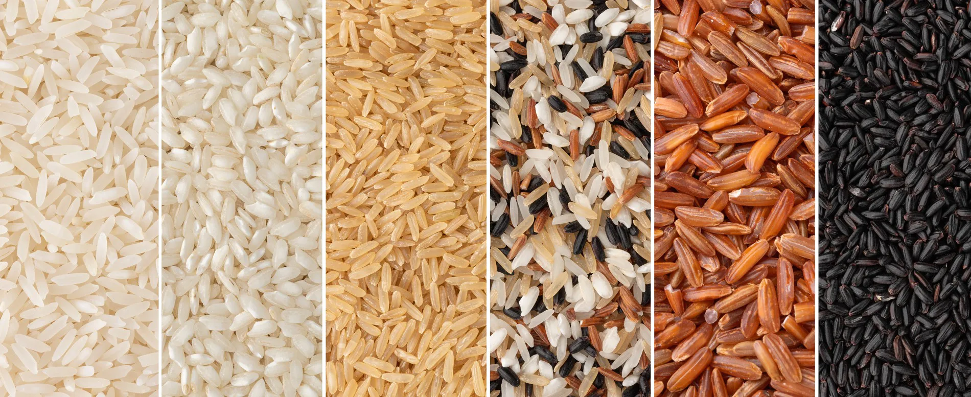Choosing the Right Rice for Every Dish 